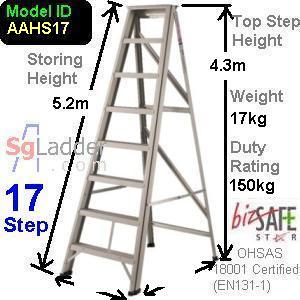 A-Ladder Singapore 17 Step