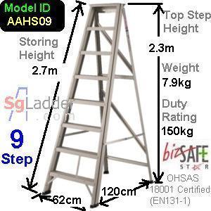A-Ladder Singapore 9 Step