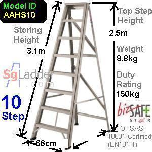 A-Ladder Singapore 10 Step