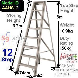 A-Ladder Singapore 12 Step