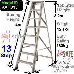 A-Ladder Singapore 13 Step