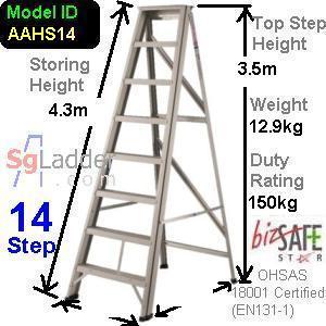 A-Ladder Singapore 14 Step