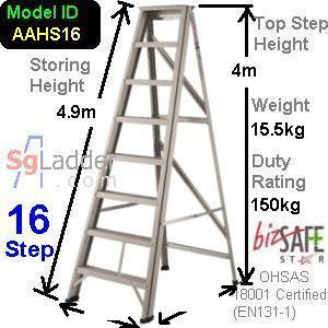 A-Ladder Singapore 16 Step