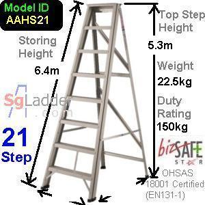 A-Ladder Singapore 21 Step