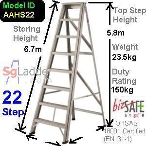 A-Ladder Singapore 22 Step